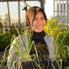Sari Nurulita