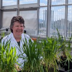 Prof Christine Beveridge woman lab coat in glasshouse with plants