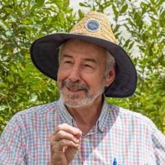 Prof Bruce Topp