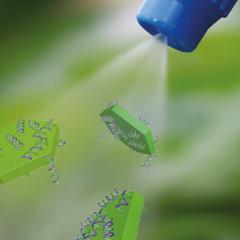 Spray-on protection, BioClay