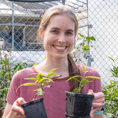 Dr Anne Sawyer in the greenhouse
