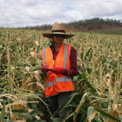 Gayathri Rajagopal, UQ PhD candidate