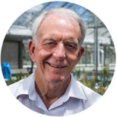 Professor Robert Henry