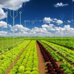 AgFutures Innovation and Investment Forum 2018