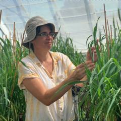 Karine Chenu in the greenhouse