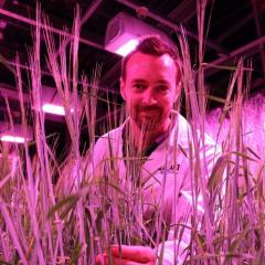 Associate Professor Lee Hickey