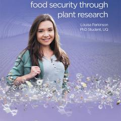 uq advertisement