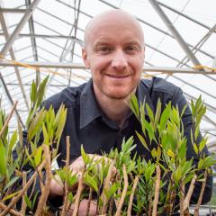 Dr Patrick Mason smiling over a series of duboisia seedlings 