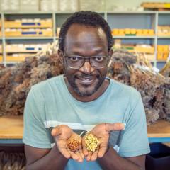 Daniel Otwani holding sorghum grains in his hands and smiling at camera