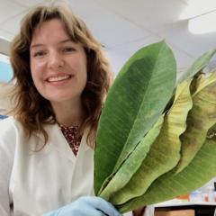 Rebecca Degnan holding plant leaves 