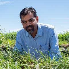 Headshot of Prof Bhagirath Chauhan in the field with some weeds. Image; Megan Pope
