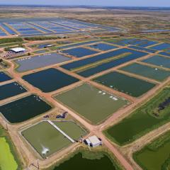 CRCNA gears up for TropAg Conference 