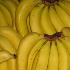 Bananas