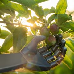 Post-pandemic brave new world of agriculture