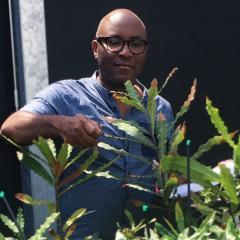 Assoc. Prof Femi Akinsanmi with macadamia tree