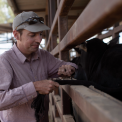 UQ genomic expert Professor Ben Hayes