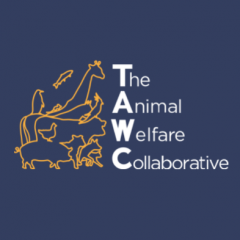 TAWC