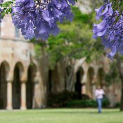 Queensland agriculture scientists named as world's best