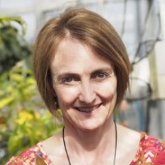 Liz Dann