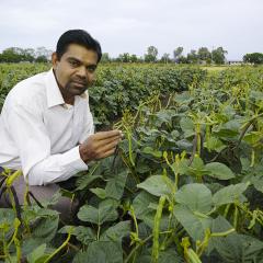  Dr Bhagirath Chauhan. 
