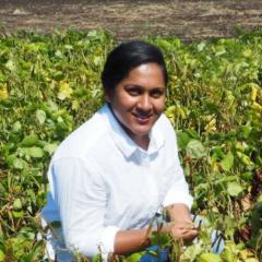 Geetika Geetika, PhD candidate, Centre for Crop Science