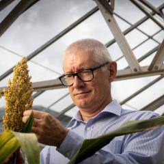 Professor Matthew Morell