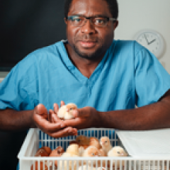 Professor Appolinaire Djikeng