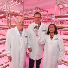 Qld Minister for Agricultural Industry Development and Fisheries visits UQ-QAAFI