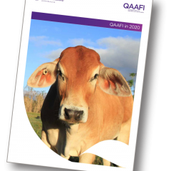 QAAFI in 2020 - out now 