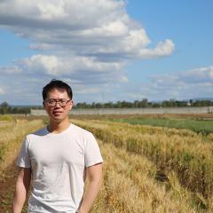 Dr Alex Wu standing in a crop field 