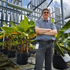 Dr John Thomas in the greenhouse with plants behind him
