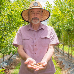 Professor Bruce Topp at the DAF Maroochy Research site, holding macadamia nuts in his hands