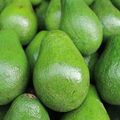 Smashing avocado disease threats