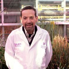 Headshot of Prof Ben Hayes with crops in greenhouse behind him