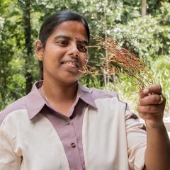 Headshot of Sukirtha looking at saltbush she is holding