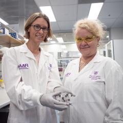 Dr Hannah Siddle and Prof Ala Tabor in a laboratory with Hannah holding a dish of ticks 