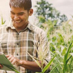 Digital technologies take farmers to market 