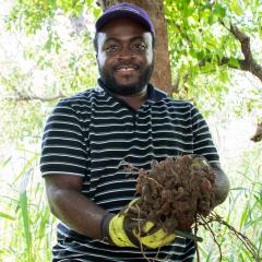 Fawale Samson Olumide with a native yam sample dug from the ground. Image: Megan Pope