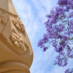 Academy welcomes two UQ leaders as Fellows