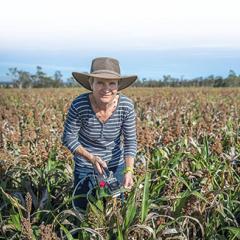 Dr Barbara George-Jaeggli in a field of sorghum 