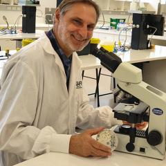 Prof Louw Hoffman sitting at a microscope in a laboratory