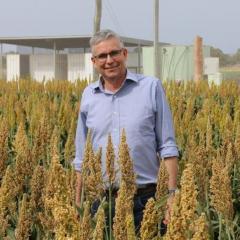 QAAFI's Centre for Crop Science Director Prof Ian Godwin